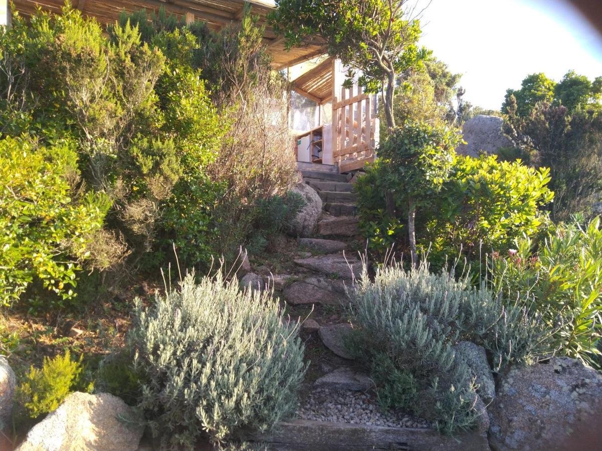 La Cera Farm Camping B&B Santa Teresa Gallura Exterior foto