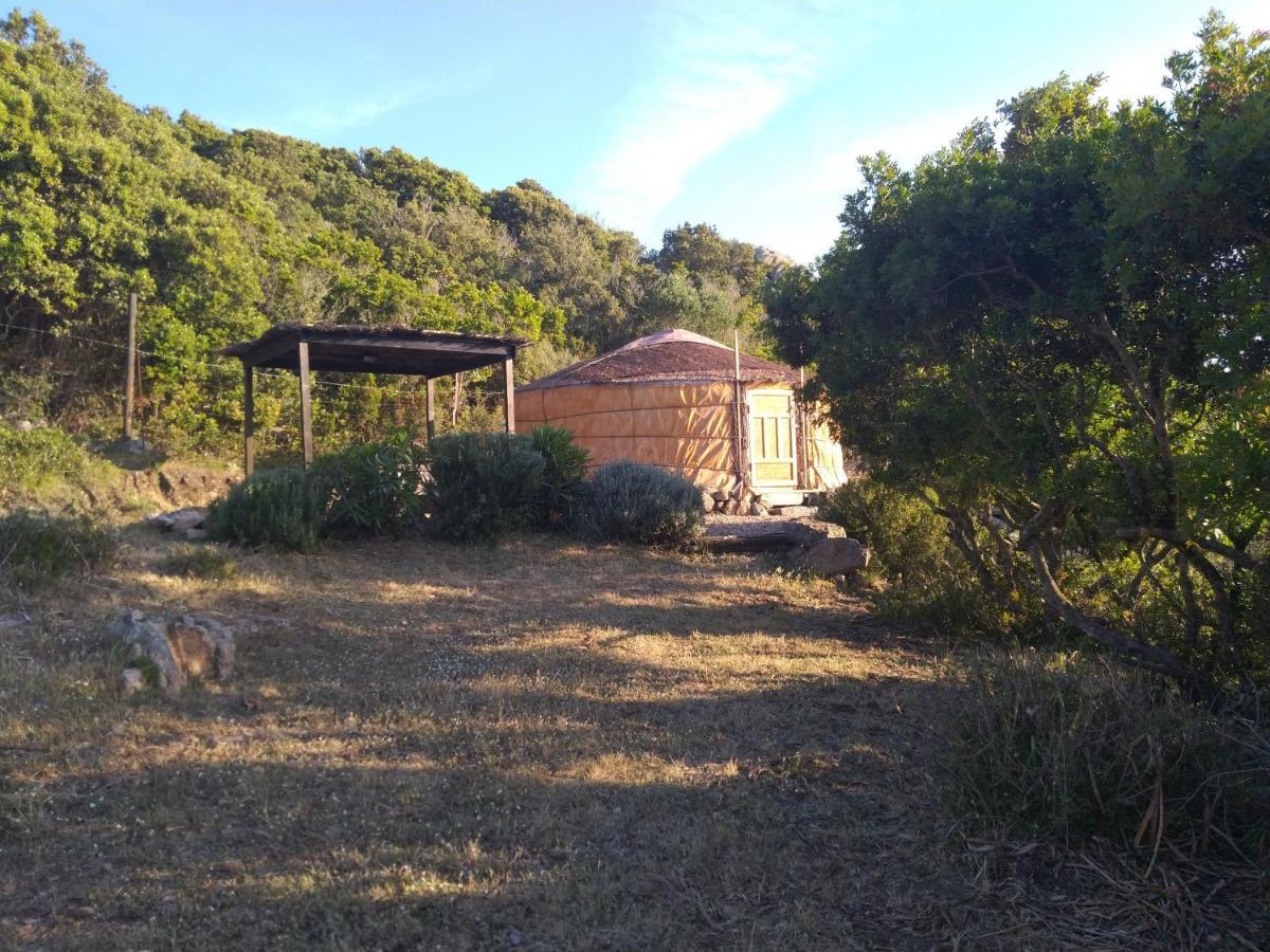 La Cera Farm Camping B&B Santa Teresa Gallura Exterior foto