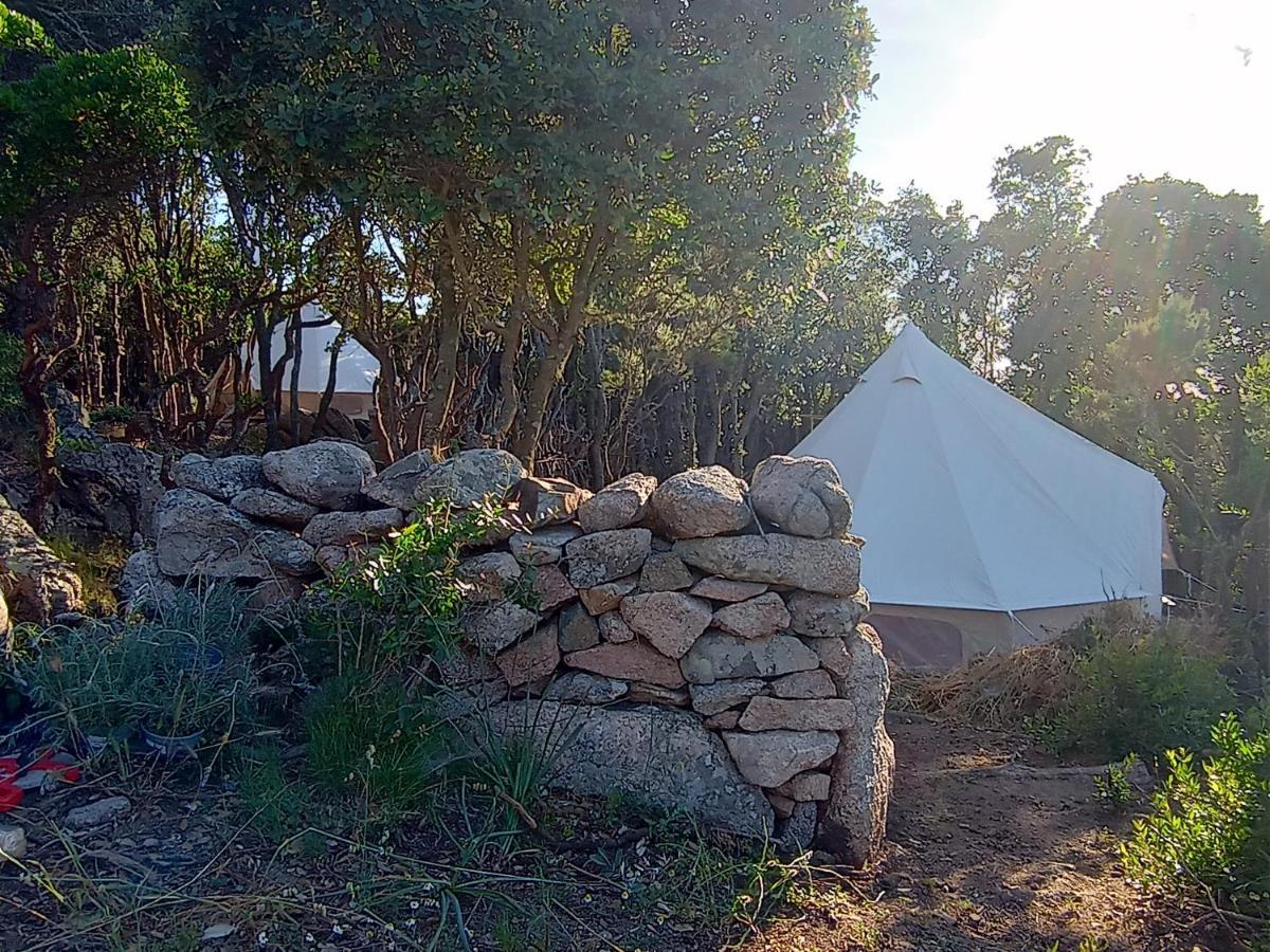 La Cera Farm Camping B&B Santa Teresa Gallura Exterior foto