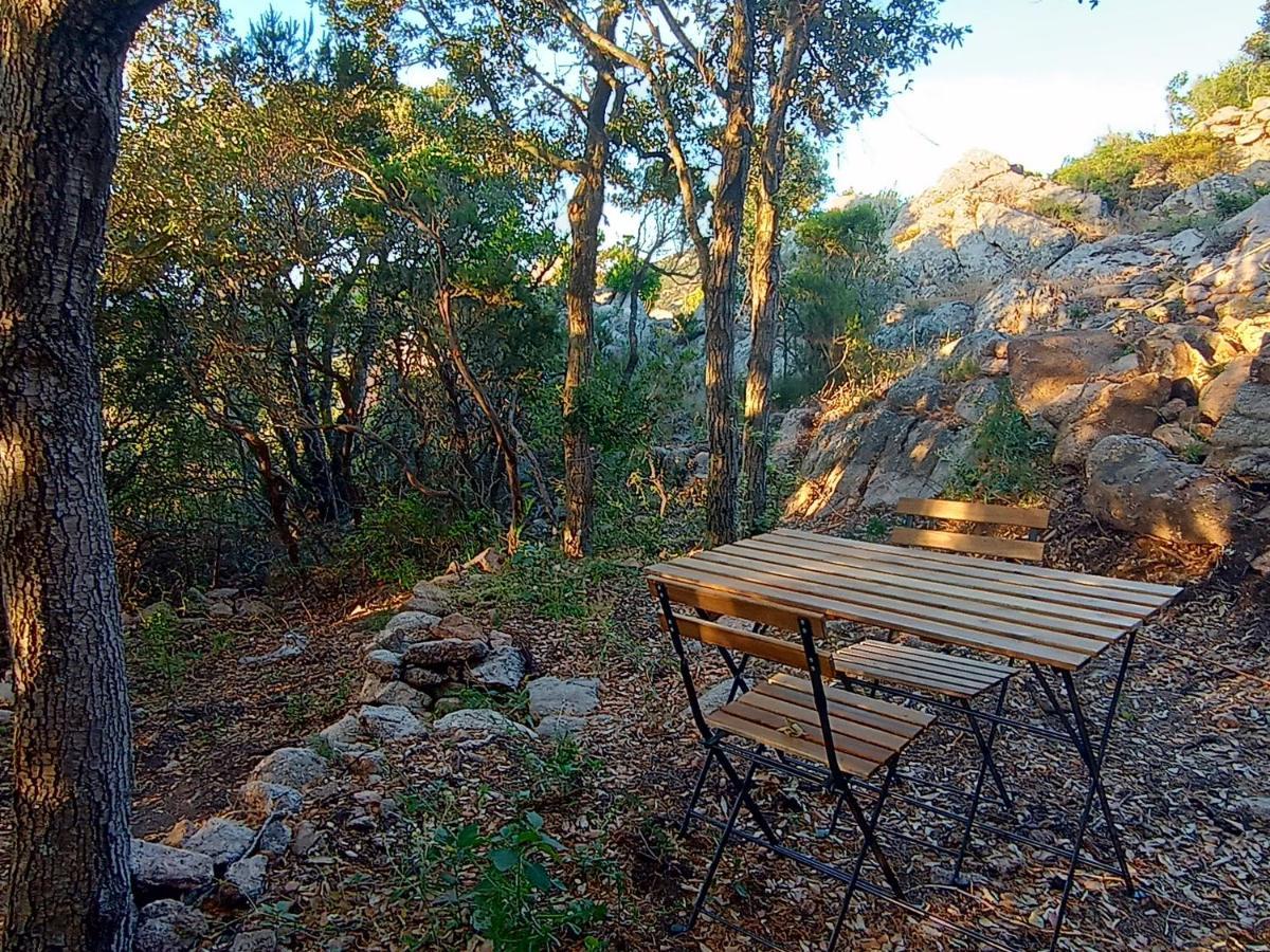 La Cera Farm Camping B&B Santa Teresa Gallura Exterior foto