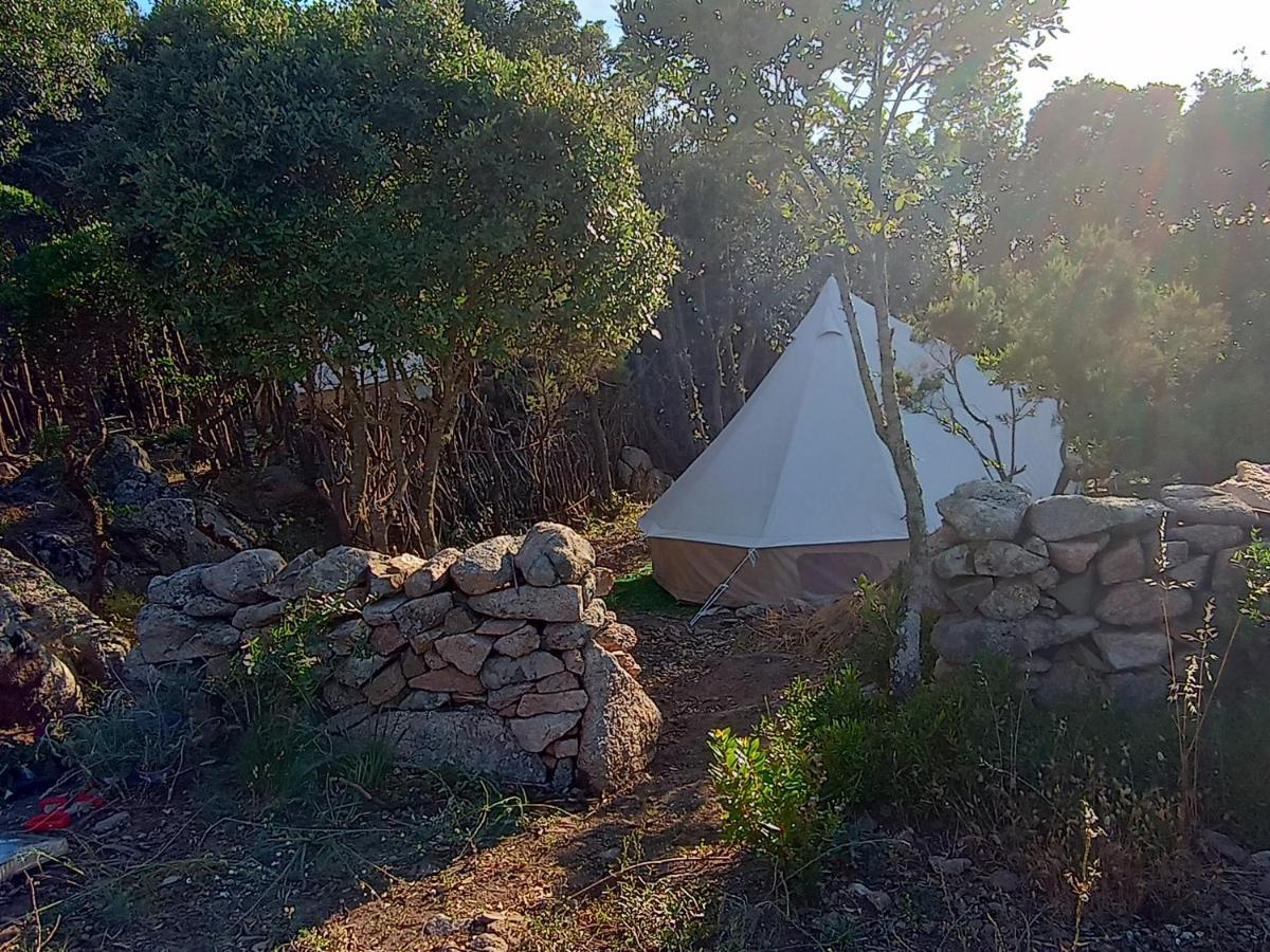 La Cera Farm Camping B&B Santa Teresa Gallura Exterior foto