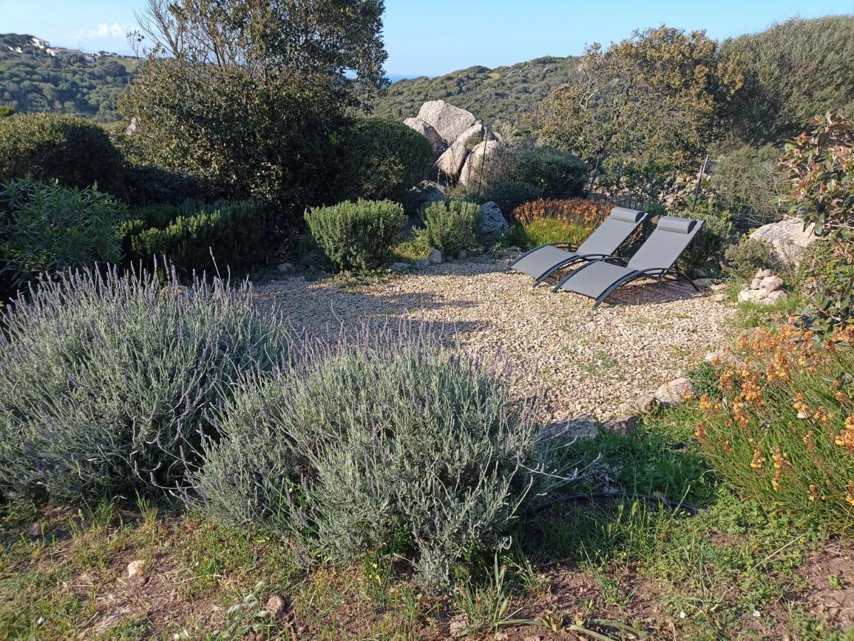 La Cera Farm Camping B&B Santa Teresa Gallura Exterior foto