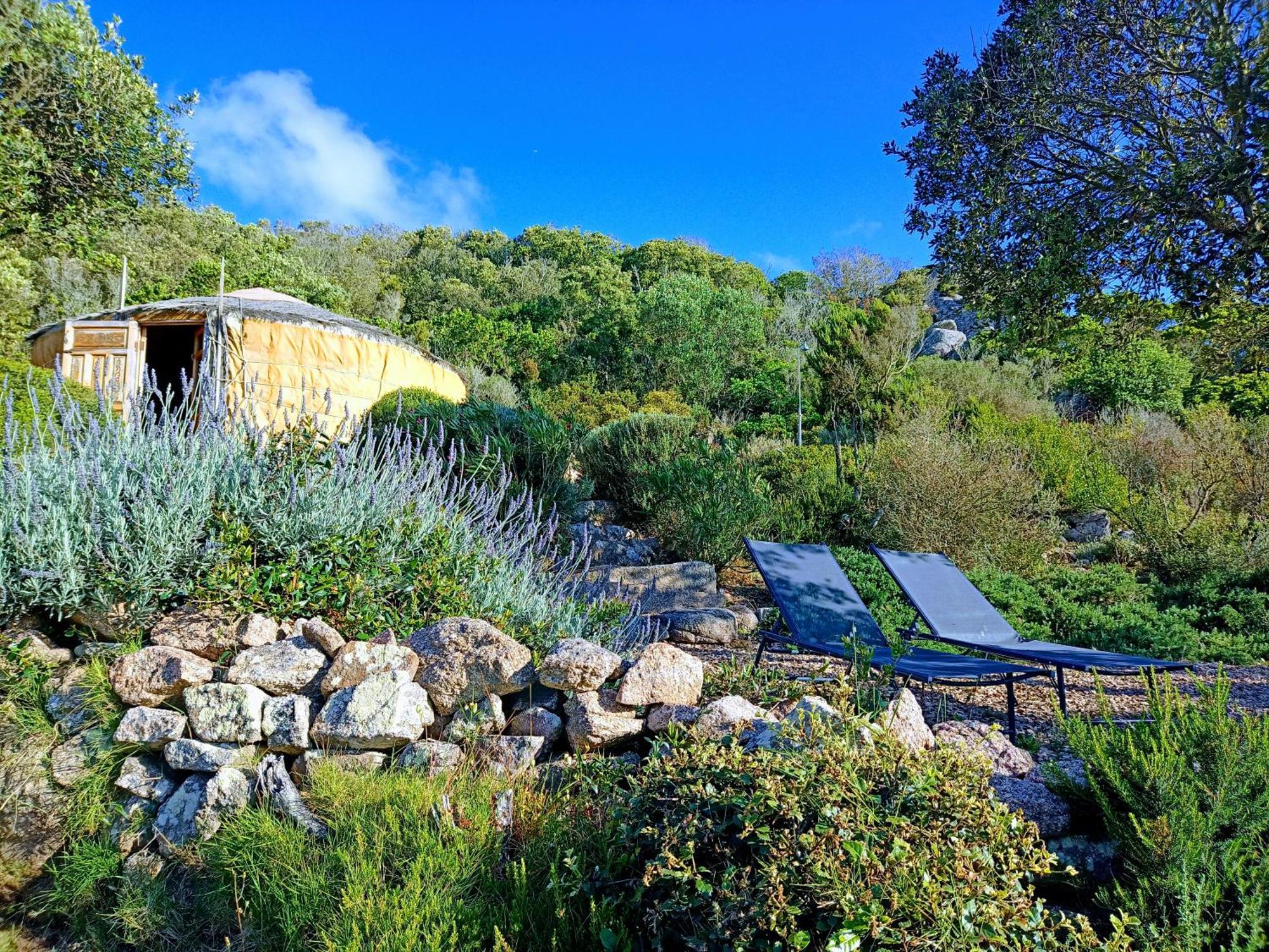 La Cera Farm Camping B&B Santa Teresa Gallura Exterior foto